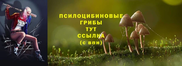 дмт Алексин